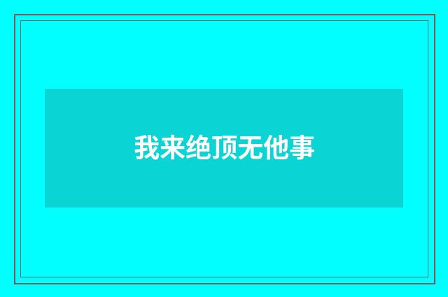 我来绝顶无他事