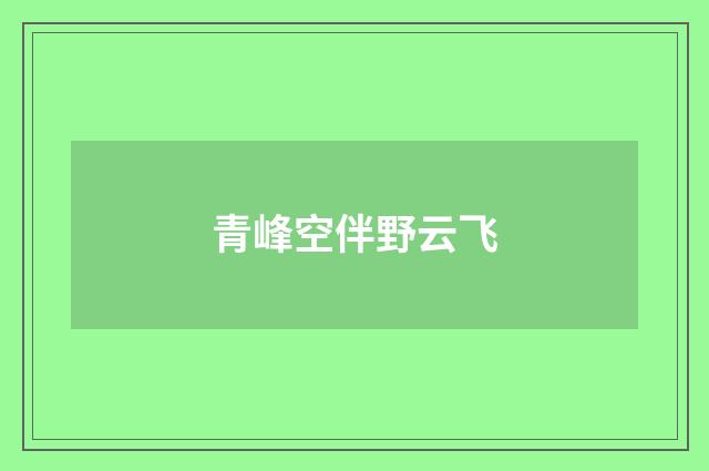 青峰空伴野云飞