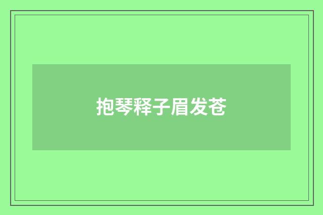 抱琴释子眉发苍