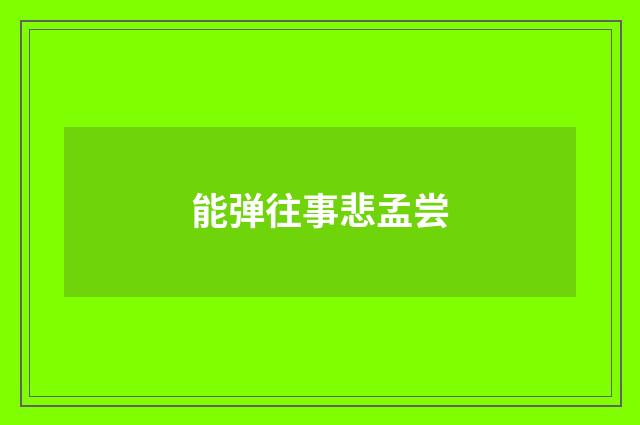 能弹往事悲孟尝