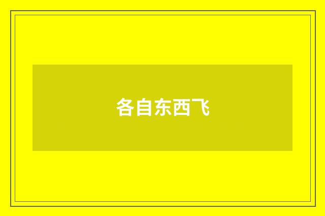 各自东西飞