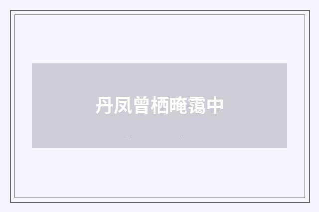 丹凤曾栖晻霭中