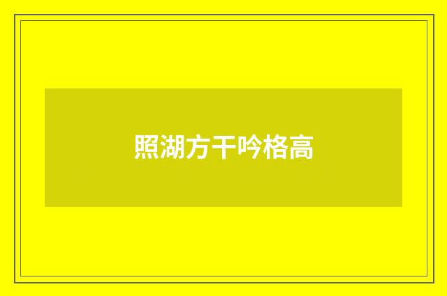 照湖方干吟格高