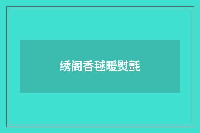 绣阁香毬暖熨氈