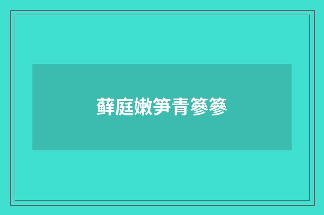 藓庭嫩笋青篸篸