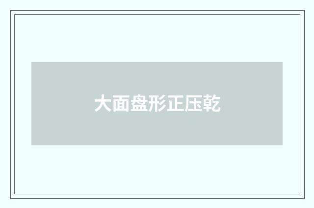 大面盘形正压乾