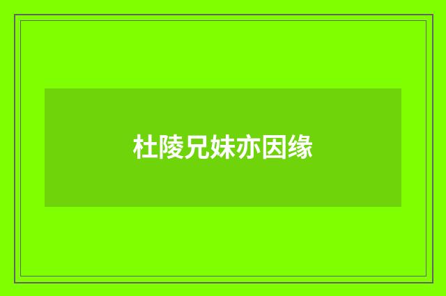 杜陵兄妹亦因缘