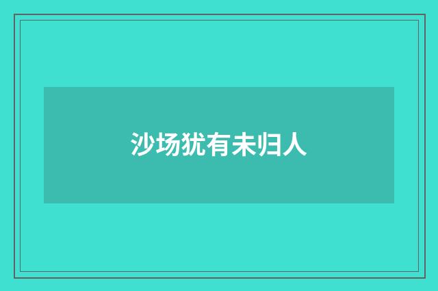 沙场犹有未归人