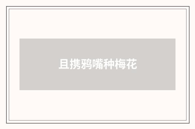 且携鸦嘴种梅花