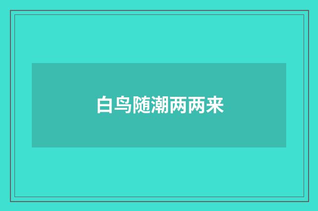 白鸟随潮两两来