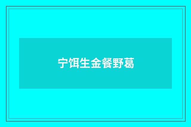 宁饵生金餐野葛