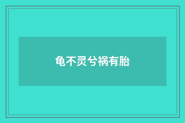 龟不灵兮祸有胎