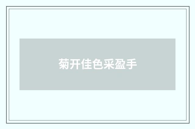 菊开佳色采盈手