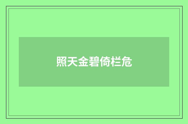 照天金碧倚栏危