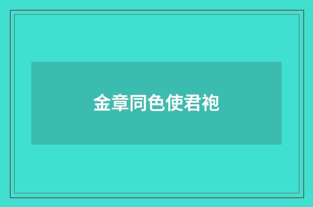 金章同色使君袍