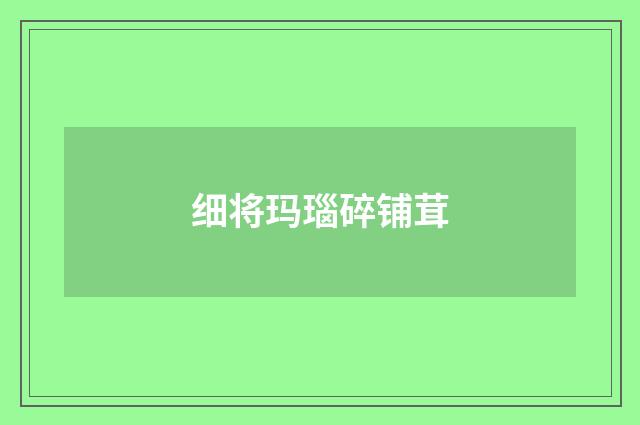 细将玛瑙碎铺茸