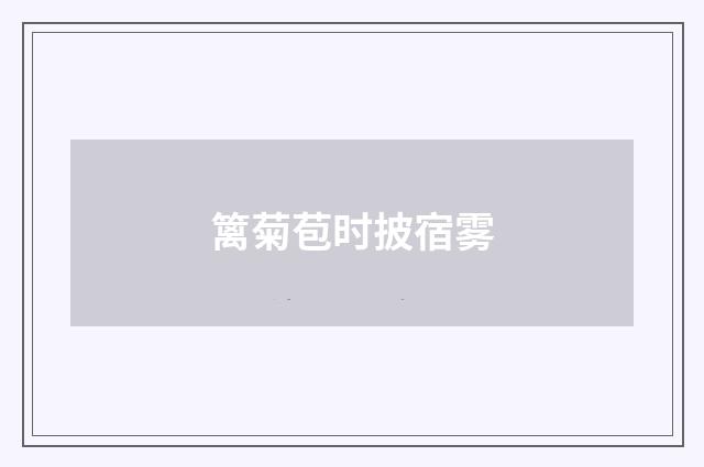 篱菊苞时披宿雾