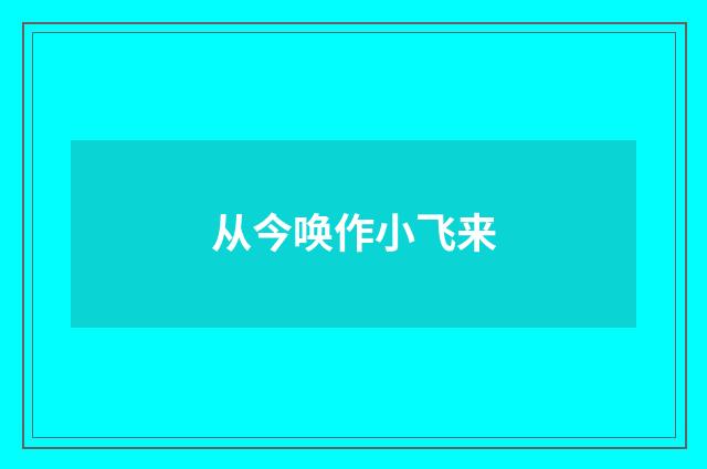 从今唤作小飞来