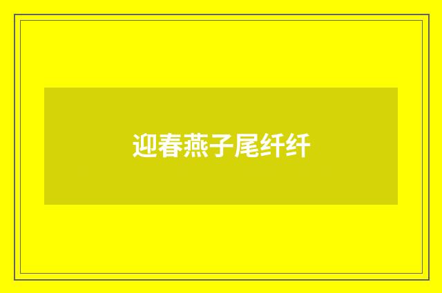 迎春燕子尾纤纤