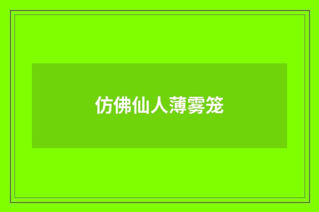 仿佛仙人薄雾笼