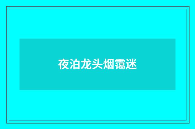 夜泊龙头烟霭迷