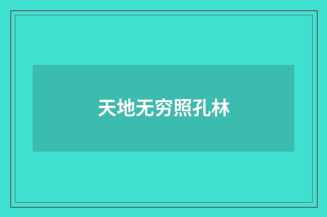 天地无穷照孔林