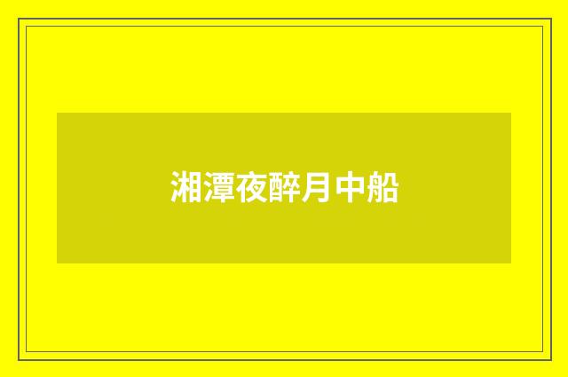 湘潭夜醉月中船