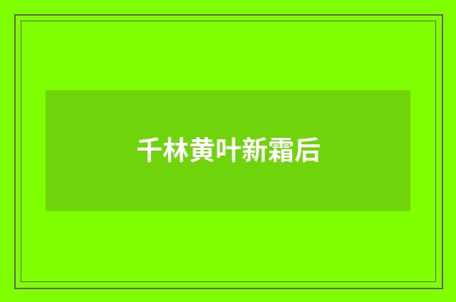 千林黄叶新霜后