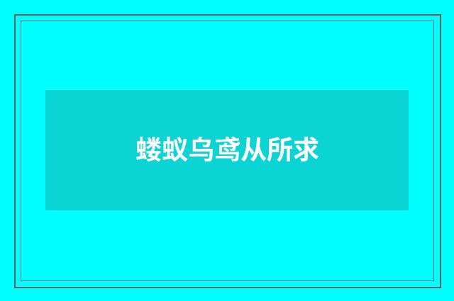 蝼蚁乌鸢从所求