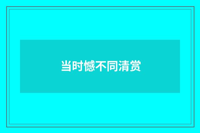 当时憾不同清赏
