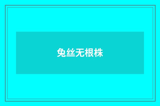兔丝无根株