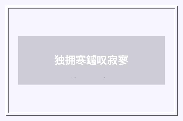 独拥寒鑪叹寂寥