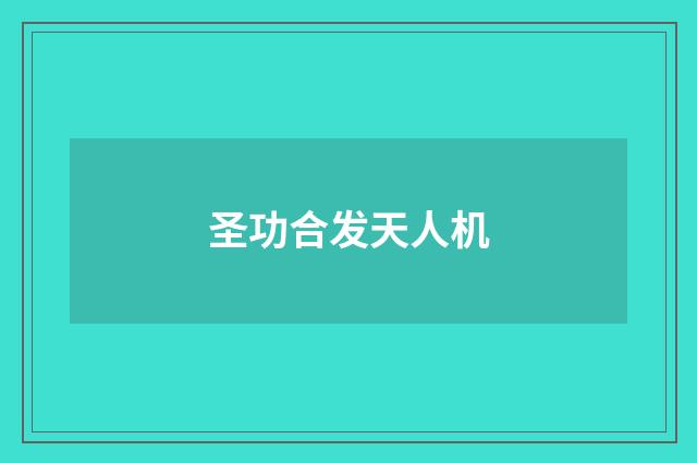 圣功合发天人机