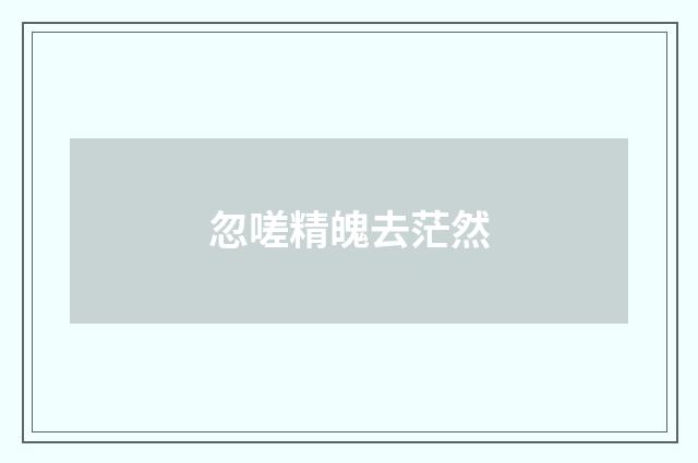 忽嗟精魄去茫然