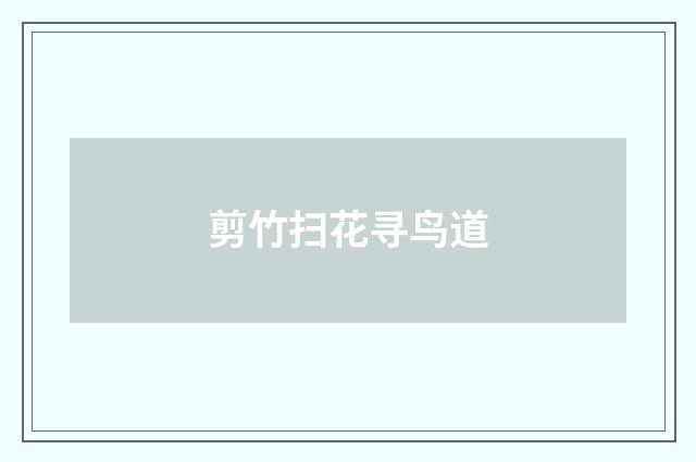 剪竹扫花寻鸟道