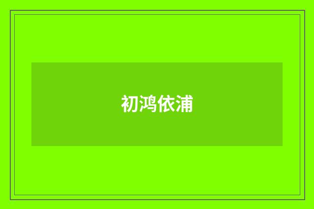 初鸿依浦