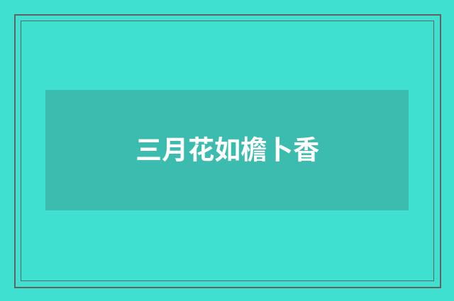 三月花如檐卜香