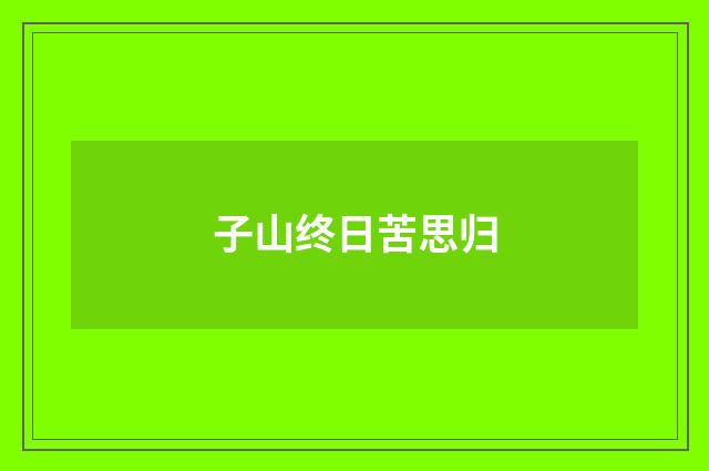 子山终日苦思归