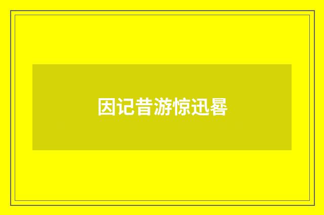 因记昔游惊迅晷