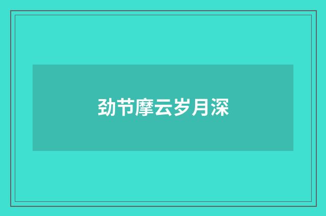 劲节摩云岁月深