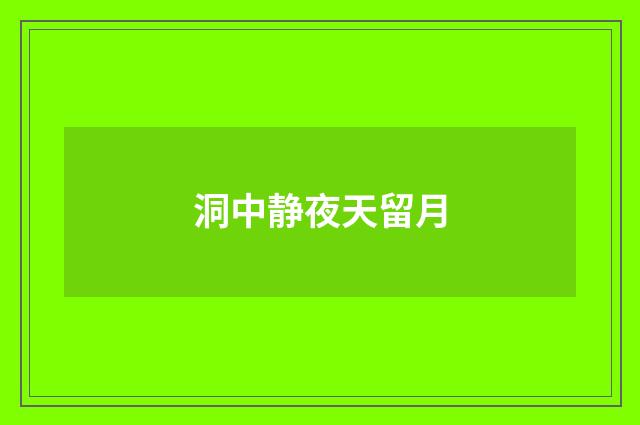 洞中静夜天留月