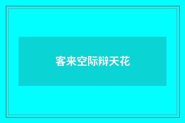 客来空际辩天花
