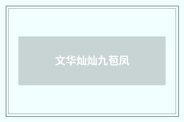 文华灿灿九苞凤