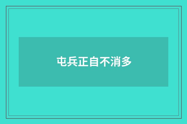 屯兵正自不消多