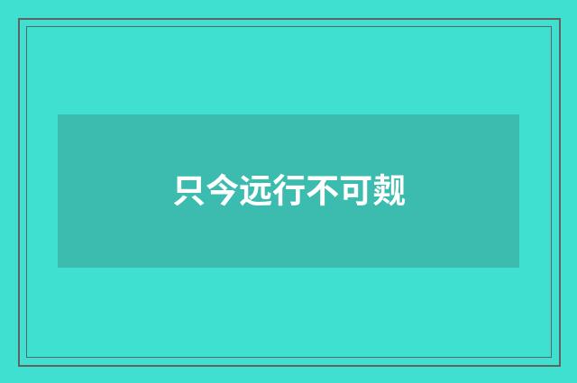 只今远行不可觌