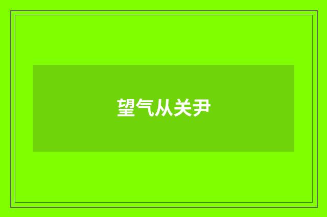 望气从关尹