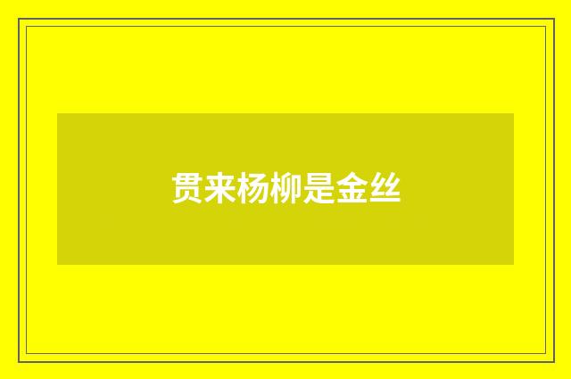 贯来杨柳是金丝