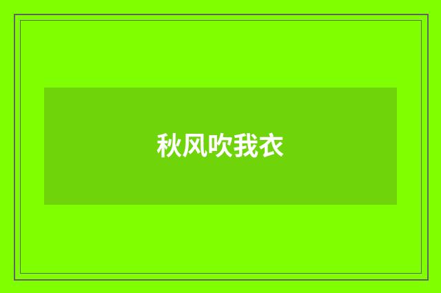 秋风吹我衣