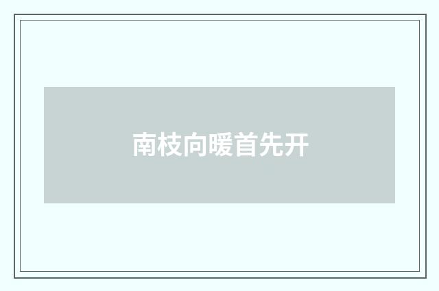 南枝向暖首先开