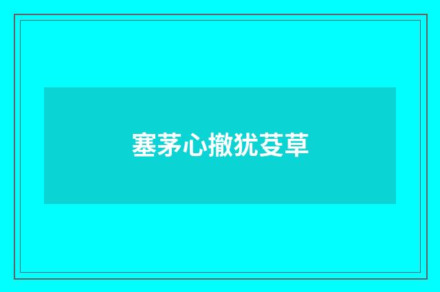 塞茅心撤犹芟草